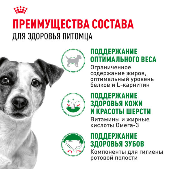 2кг Корм ROYAL CANIN Mini Adult для взрослых собак мелких пород