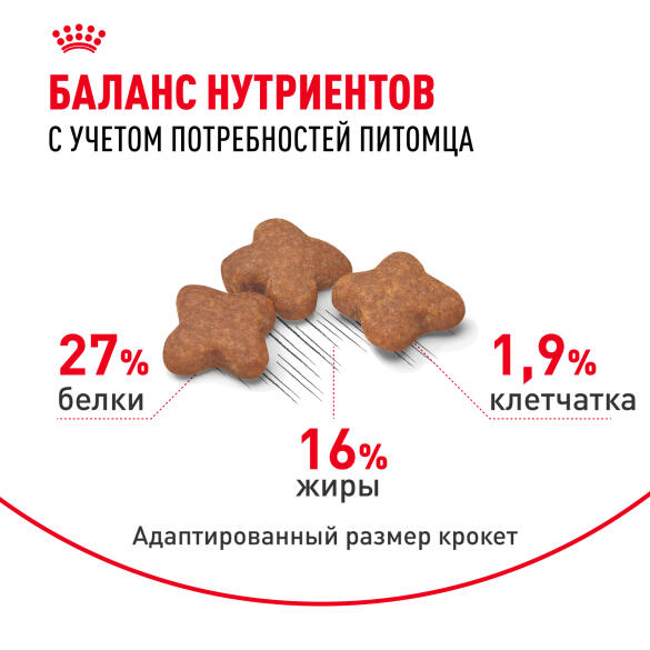 2кг Корм ROYAL CANIN Mini Adult для взрослых собак мелких пород