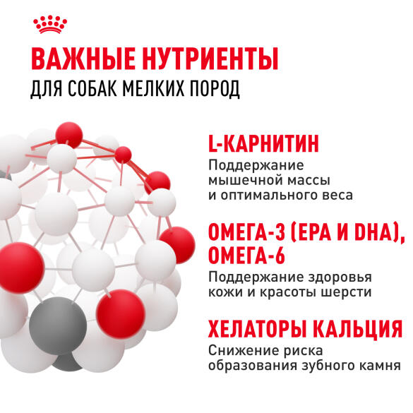 2кг Корм ROYAL CANIN Mini Adult для взрослых собак мелких пород