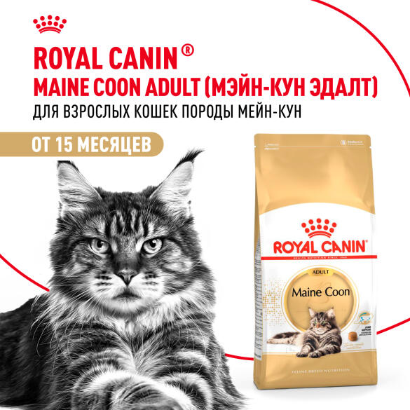 0,4кг Корм ROYAL CANIN Maine Coon Adult для взрослых кошек породы Мейн Кун с 15 месяцев