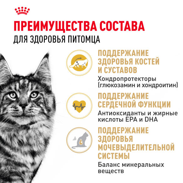 0,4кг Корм ROYAL CANIN Maine Coon Adult для взрослых кошек породы Мейн Кун с 15 месяцев