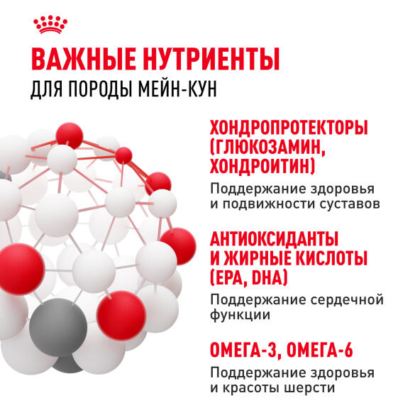 0,4кг Корм ROYAL CANIN Maine Coon Adult для взрослых кошек породы Мейн Кун с 15 месяцев