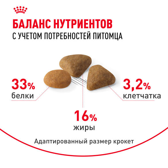 2кг Корм ROYAL CANIN Savour Exigent для взрослых кошек, привередливых ко вкусу