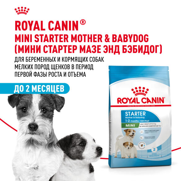 8,5кг Корм ROYAL CANIN Mini Starter для щенков мелких пород в период отъема и до 2х месяцев, беременных и кормящих сук