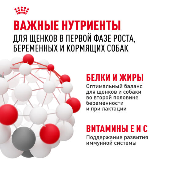 8,5кг Корм ROYAL CANIN Mini Starter для щенков мелких пород в период отъема и до 2х месяцев, беременных и кормящих сук