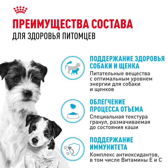 3кг Корм ROYAL CANIN Mini Starter для щенков мелких пород в период отъема и до 2х месяцев, беременных и кормящих сук