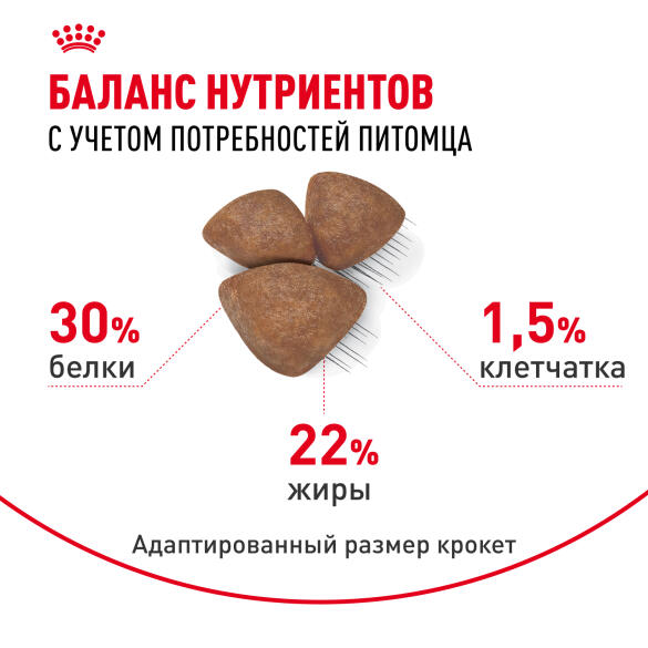 3кг Корм ROYAL CANIN Mini Starter для щенков мелких пород в период отъема и до 2х месяцев, беременных и кормящих сук