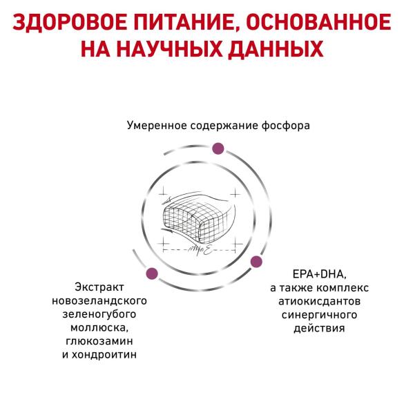 3,5кг Корм ROYAL CANIN Early Renal Feline диета для взрослых кошек при ранней стадии почечной недостаточности