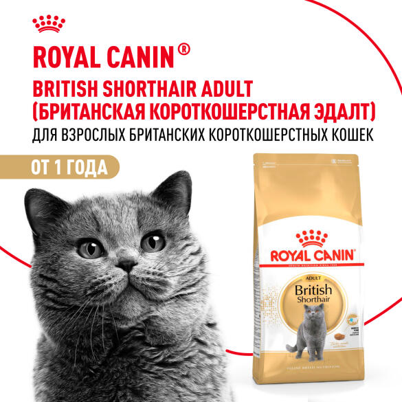 Корм в развес ROYAL CANIN British Shorthair Adult для взрослых Британских короткошерстных кошек с 12 месяцев, 1кг
