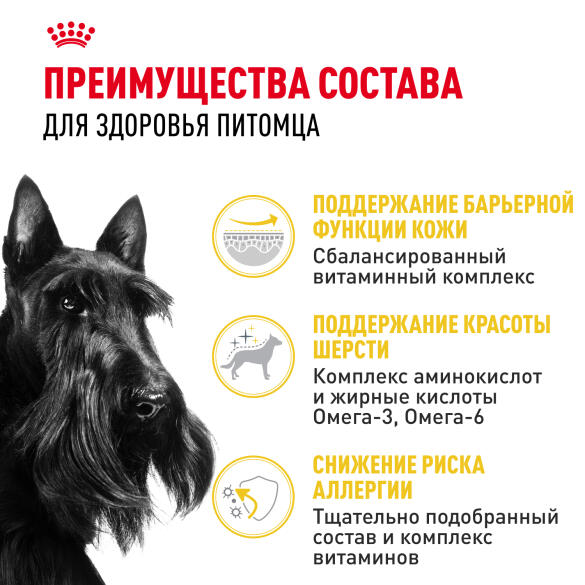 1кг Корм ROYAL CANIN Mini Dermacomfort для взрослых собак мелких пород с чувствительной кожей
