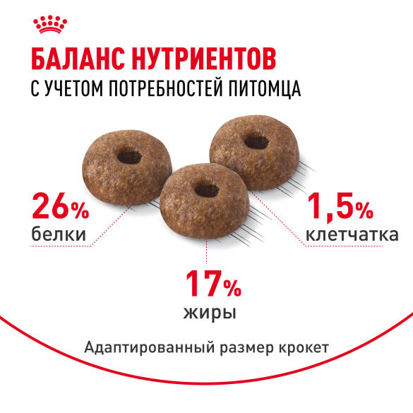 1кг Корм ROYAL CANIN Mini Dermacomfort для взрослых собак мелких пород с чувствительной кожей
