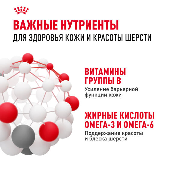 1кг Корм ROYAL CANIN Mini Dermacomfort для взрослых собак мелких пород с чувствительной кожей