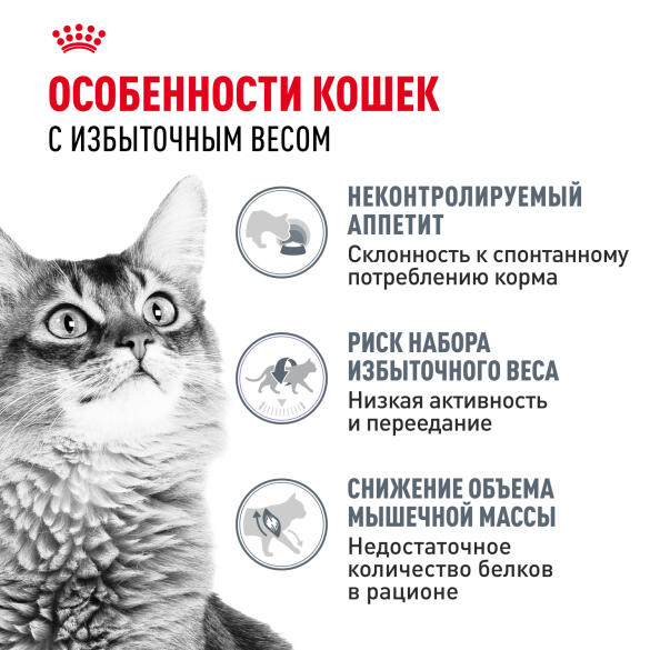 0,4кг Корм ROYAL CANIN Light Weight Care для взрослых кошек, склонных к полноте