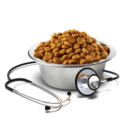 2кг Корм Farmina Vet Life Dog Hypoallergenic Egg&Rice диета для взрослых собак для снижение пищевой аллергии и/или непереносимости ингредиентов и питательных веществ с Яйцом и рисом