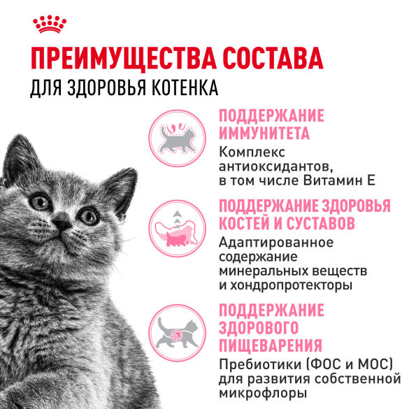 2кг Корм ROYAL CANIN British Shorthair Kitten для котят Британских короткошерстных до 12 месяцев