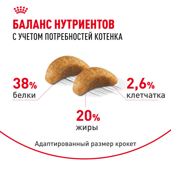 2кг Корм ROYAL CANIN British Shorthair Kitten для котят Британских короткошерстных до 12 месяцев