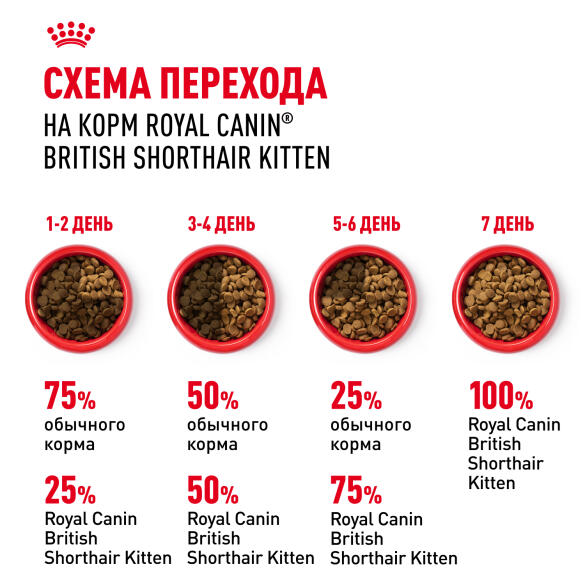 2кг Корм ROYAL CANIN British Shorthair Kitten для котят Британских короткошерстных до 12 месяцев
