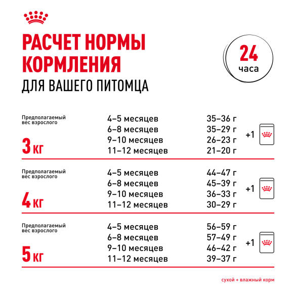 2кг Корм ROYAL CANIN British Shorthair Kitten для котят Британских короткошерстных до 12 месяцев
