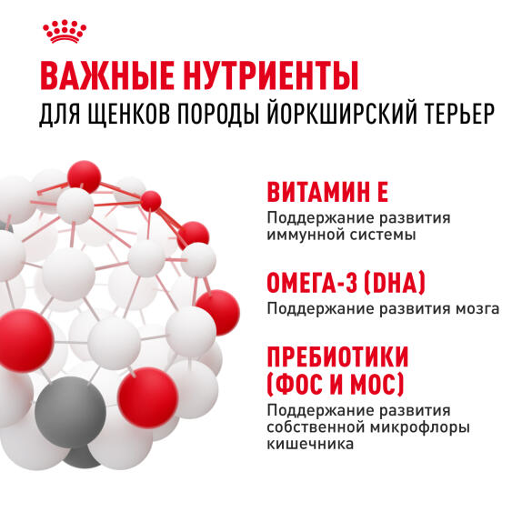0,5кг Корм ROYAL CANIN Yorkshire Puppy для щенков породы Йоркширский Терьер до 10 месяцев