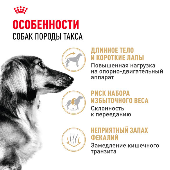 1,5кг Корм ROYAL CANIN Dachshund Adult для взрослых собак породы Такса от 10 месяцев