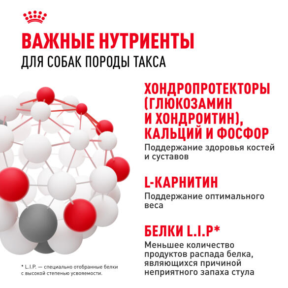 1,5кг Корм ROYAL CANIN Dachshund Adult для взрослых собак породы Такса от 10 месяцев