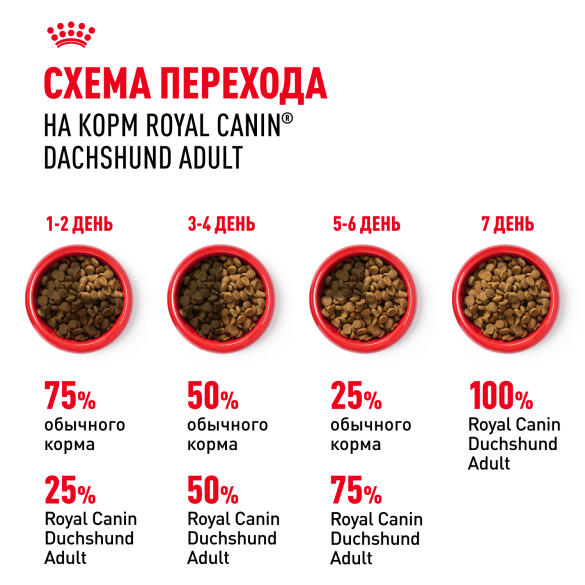 1,5кг Корм ROYAL CANIN Dachshund Adult для взрослых собак породы Такса от 10 месяцев