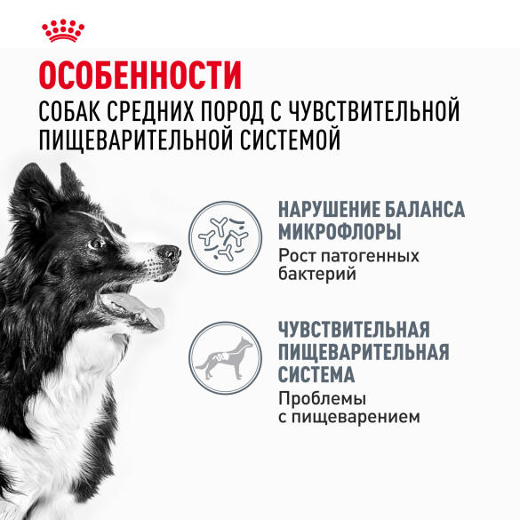 3кг Корм ROYAL CANIN Medium Adult Digestive Care для взрослых собак средних пород с чувствительным пищеварением