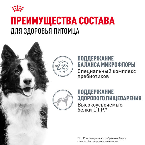 3кг Корм ROYAL CANIN Medium Adult Digestive Care для взрослых собак средних пород с чувствительным пищеварением