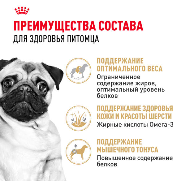1,5кг Корм ROYAL CANIN Pug Adult для взрослых собак породы Мопс от 10 месяцев