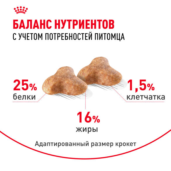 1,5кг Корм ROYAL CANIN Pug Adult для взрослых собак породы Мопс от 10 месяцев