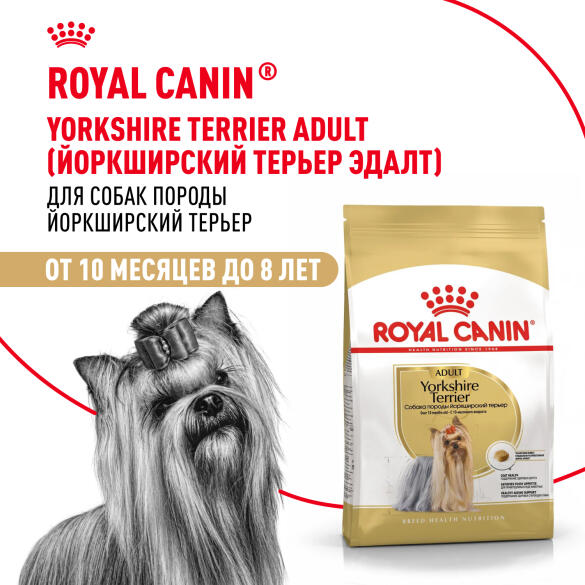 1,5кг Корм ROYAL CANIN Yorkshire Terrier Adult для взрослых собак породы Йоркширский Терьер от 10 месяцев