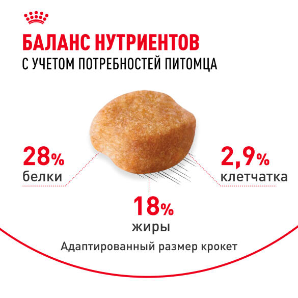 1,5кг Корм ROYAL CANIN Yorkshire Terrier Adult для взрослых собак породы Йоркширский Терьер от 10 месяцев