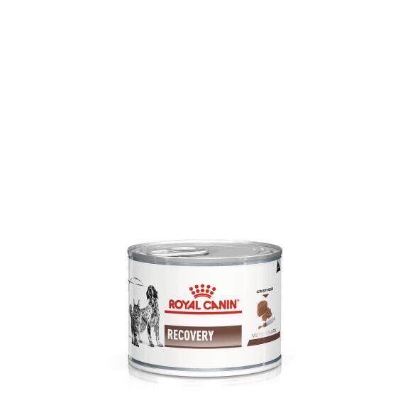 195гр Royal Canin Recovery для взрослых кошек и собак в востановительный период после болезни, паштет