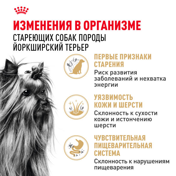 0,5кг Корм ROYAL CANIN Yorkshire Terrier 8+ для взрослых собак породы Йоркширский Терьер от 8 лет
