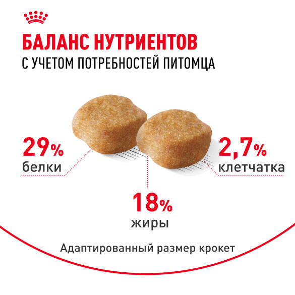 0,5кг Корм ROYAL CANIN Yorkshire Terrier 8+ для взрослых собак породы Йоркширский Терьер от 8 лет