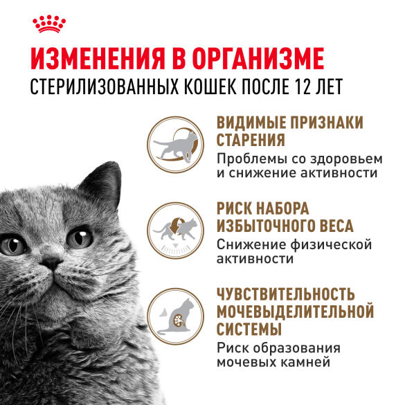 4кг Корм ROYAL CANIN Ageing Sterilized+12 для стерилизованных взрослых кошек старше 12 лет