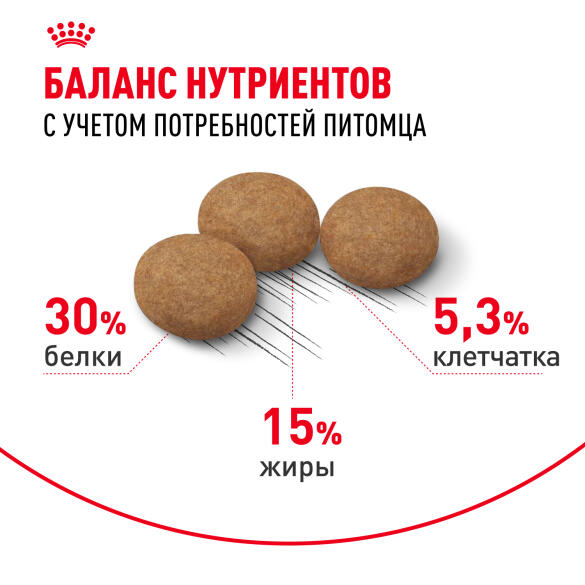 4кг Корм ROYAL CANIN Ageing Sterilized+12 для стерилизованных взрослых кошек старше 12 лет