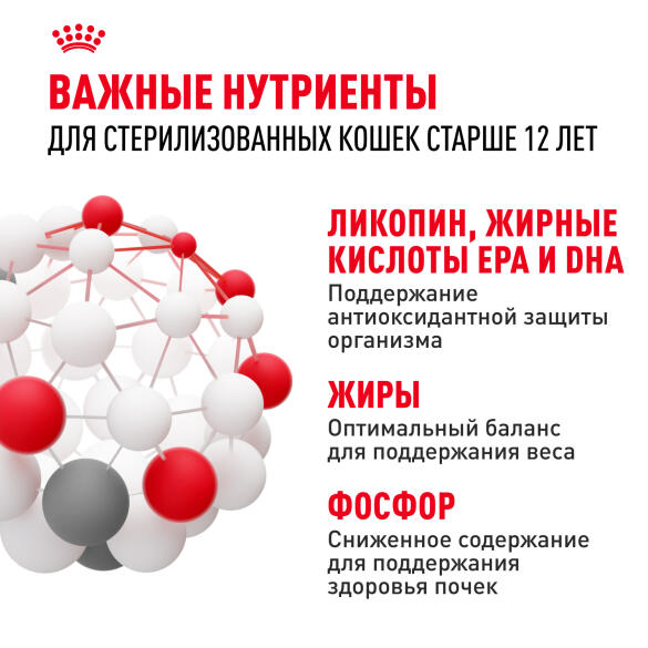 4кг Корм ROYAL CANIN Ageing Sterilized+12 для стерилизованных взрослых кошек старше 12 лет