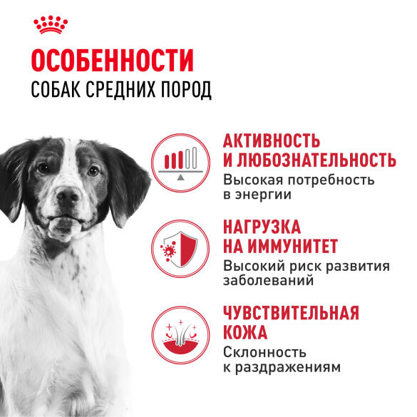 15кг Корм ROYAL CANIN Medium Adult для взрослых собак средних пород от 12 месяцев