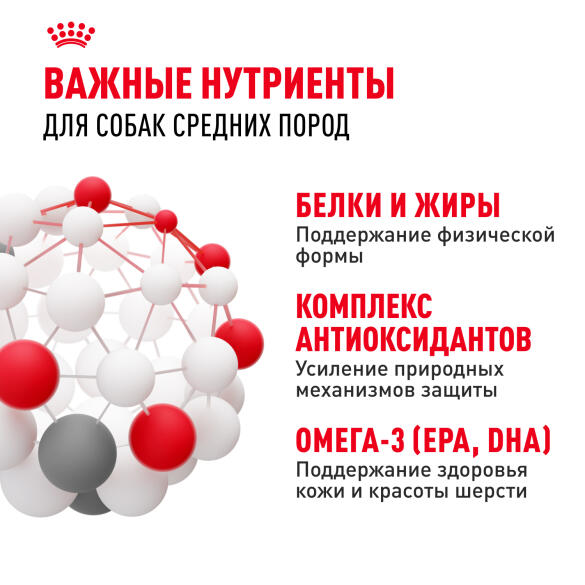 15кг Корм ROYAL CANIN Medium Adult для взрослых собак средних пород от 12 месяцев