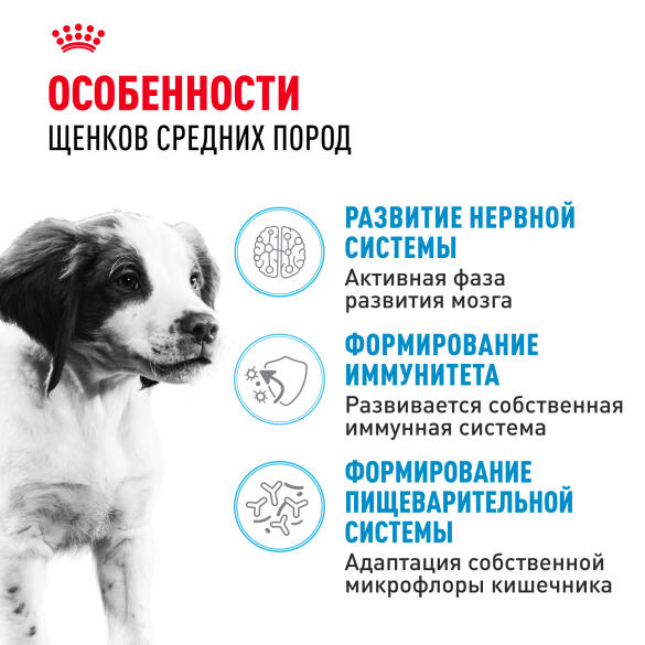 Корм в развес ROYAL CANIN Medium Puppy для щенков средних пород до 12 месяцев, 1кг