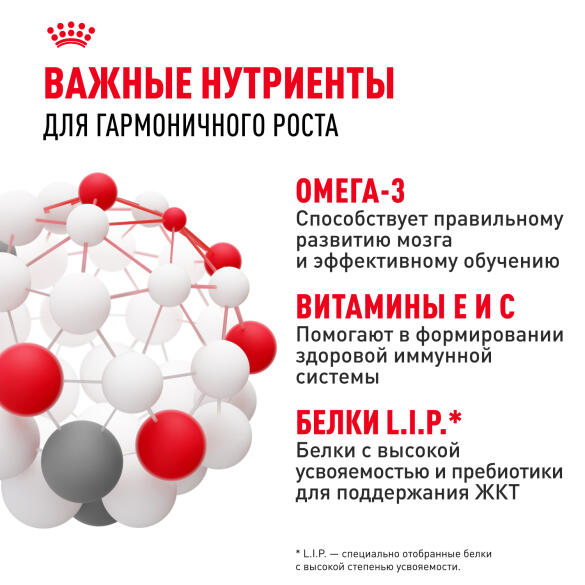 Корм в развес ROYAL CANIN Medium Puppy для щенков средних пород до 12 месяцев, 1кг