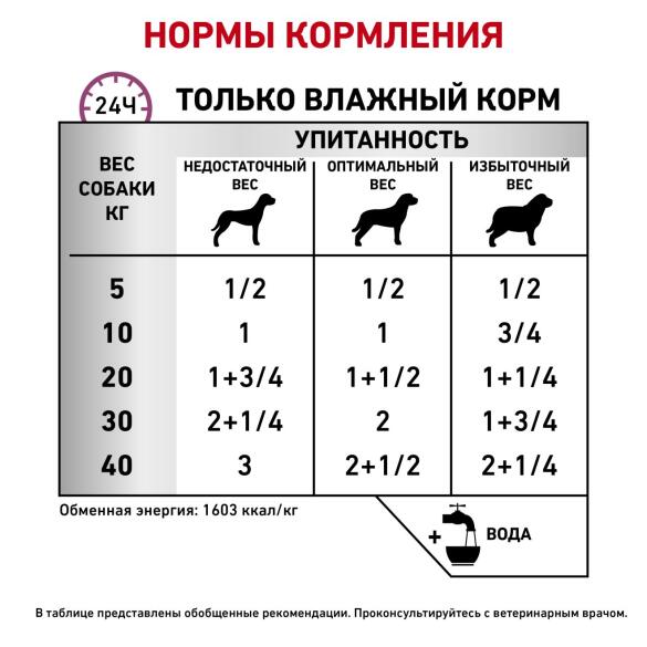 410гр Консервы ROYAL CANIN Renal Special диета для взрослых собак при хронической или острой почечной недостаточности, паштет