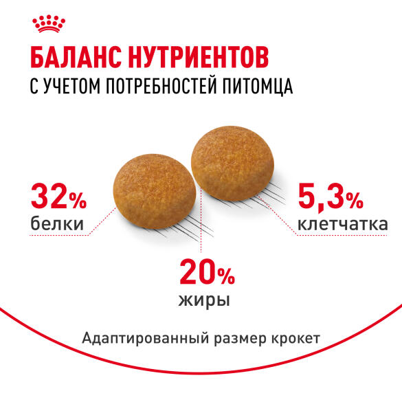 2кг Корм ROYAL CANIN Siberian Adult для взрослых Сибирских кошек от 12 месяцев