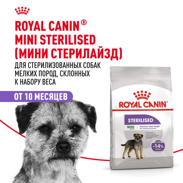 3кг Корм ROYAL CANIN Mini Sterilised для взрослых стерилизованных собак мелких пород, склонных к избыточному весу