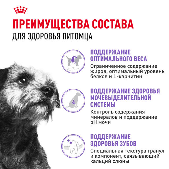 3кг Корм ROYAL CANIN Mini Sterilised для взрослых стерилизованных собак мелких пород, склонных к избыточному весу