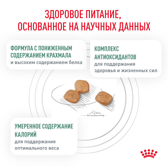 0,35кг Корм ROYAL CANIN Diabetic Feline диета для взрослых кошек при сахарном диабете