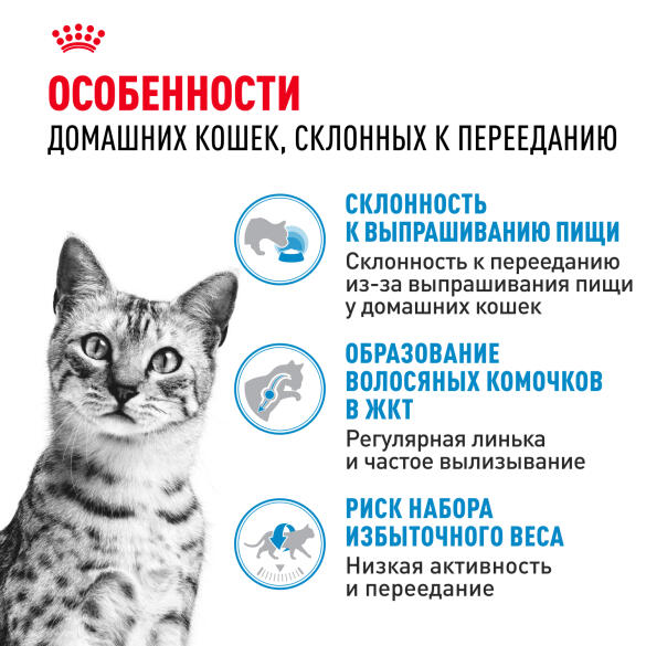 2кг Корм ROYAL CANIN Indoor Appetite control для домашних кошек, склонных к перееданию