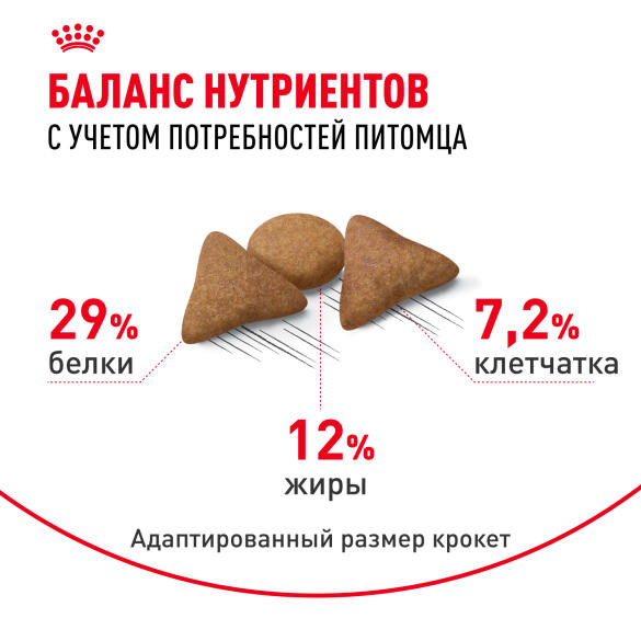 2кг Корм ROYAL CANIN Indoor Appetite control для домашних кошек, склонных к перееданию