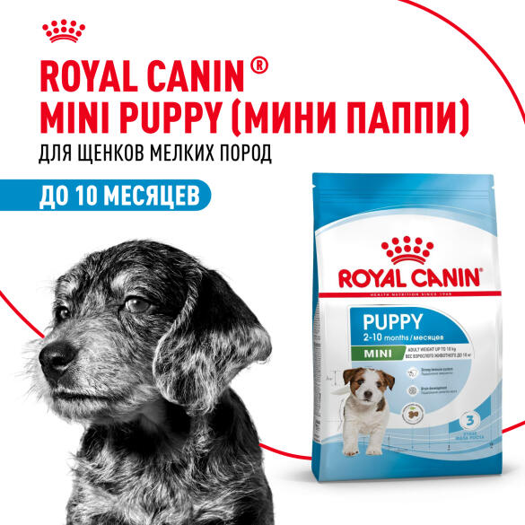 0,8кг Корм ROYAL CANIN Mini Puppy для щенков мелких пород с 2 до 10 месяцев